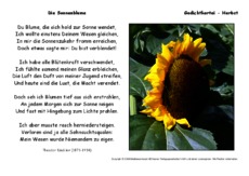 Die-Sonnenblume-Däubler.pdf